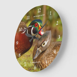 Reloj Redondo Grande Pato de Madera Divertido Susurra Dulces Naderías