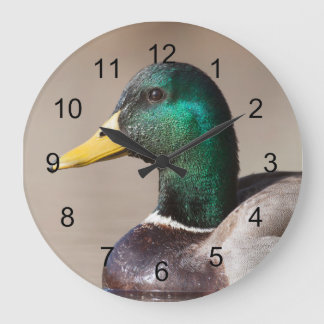 Reloj Redondo Grande Pato mallard