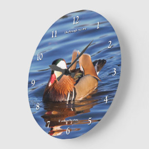 Reloj Redondo Grande Pato mandarín hermoso en la laguna