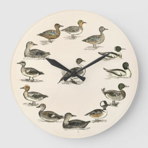 Reloj Redondo Grande Patos de los ilustraciones de Norteamérica