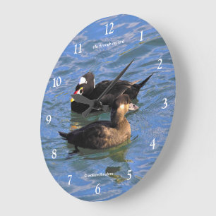 Reloj Redondo Grande Patos de Surf Scoter lindos y divertidos nadando e