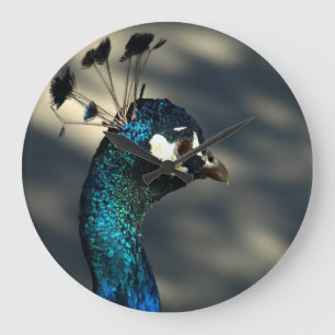 Reloj Redondo Grande Pavo real