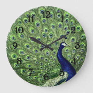 Reloj Redondo Grande Pavo real bonito