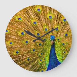 Reloj Redondo Grande Pavo real, Silver Falls, Kauai, Hawái