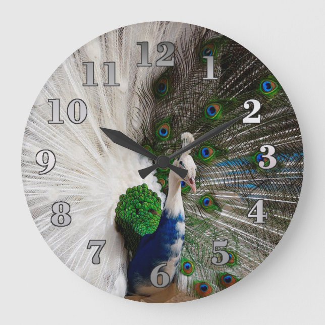 Reloj Redondo Grande Peacock azul blanco (Anverso)