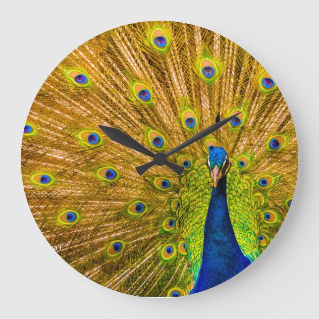 Reloj Redondo Grande Peacock, cataratas plateadas, Kauai, Hawaii (Anverso)