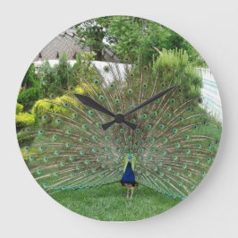 Reloj Redondo Grande Peacock Round (Large) Wall Clock