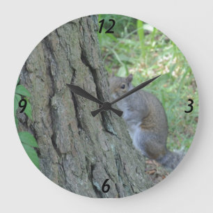 Reloj Redondo Grande Peek A Boo Squirrel -
