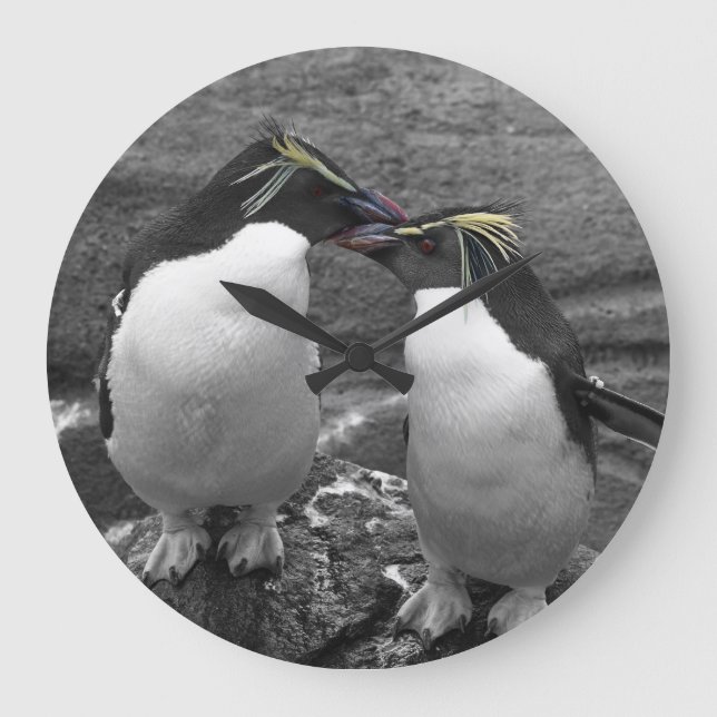 Reloj Redondo Grande Penguin Colour Splash (Anverso)