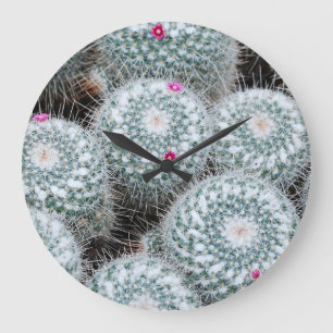 Reloj Redondo Grande Pequeñas flores rosas cactus Plantas