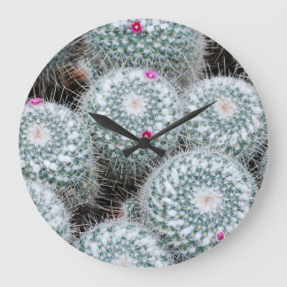 Reloj Redondo Grande Pequeñas flores rosas cactus Plantas