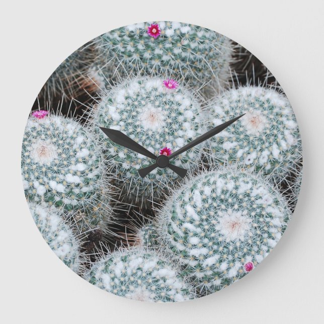 Reloj Redondo Grande Pequeñas flores rosas cactus Plantas (Anverso)