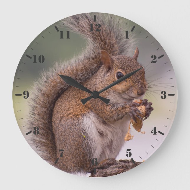 Reloj Redondo Grande Pequeño animal salvaje lindo ardilla de Florida ce