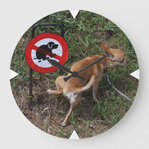 Reloj Redondo Grande Pequeño rebelde