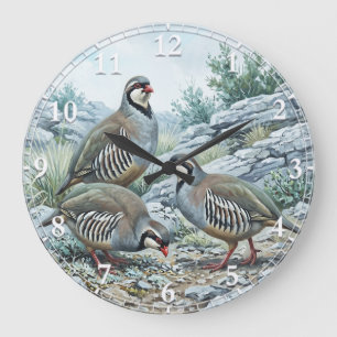Reloj Redondo Grande Perdiz Griega ,Alectoris Graeca Aves de Caza