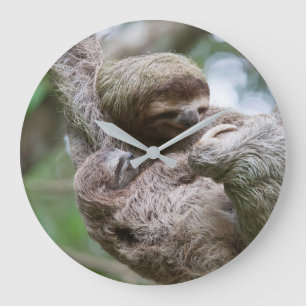Reloj Redondo Grande Perezoso bebé con madre colgando de un árbol