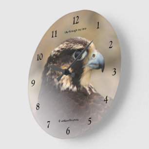 Reloj Redondo Grande Perfil con viñeta de un halcón peregrino