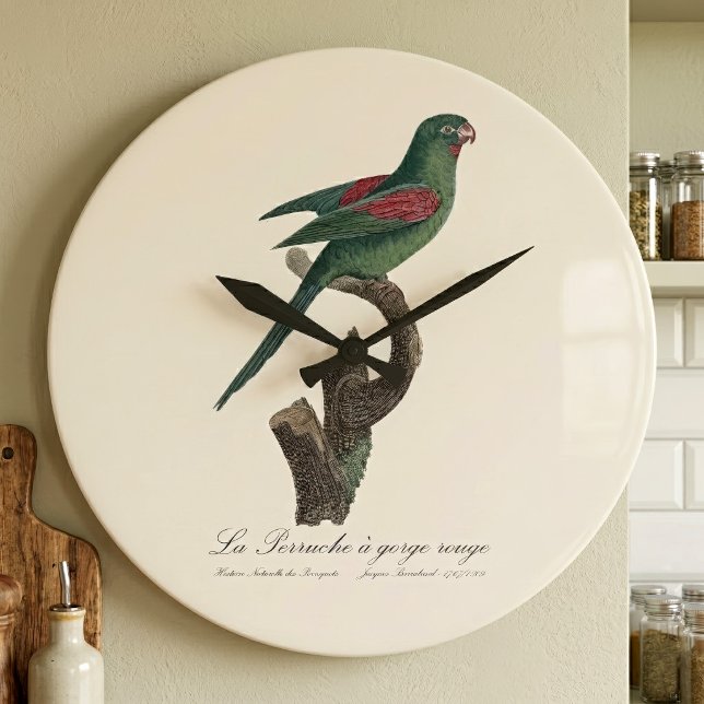 Reloj Redondo Grande Perico Catrín, Brotogeris jugularis (Orange-Chinned Parakeet, Brotogeris jugularis. Large Clock)