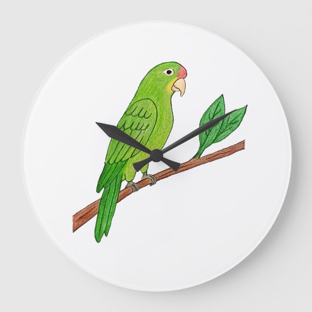 Reloj Redondo Grande Perico verde del trópico (Anverso)