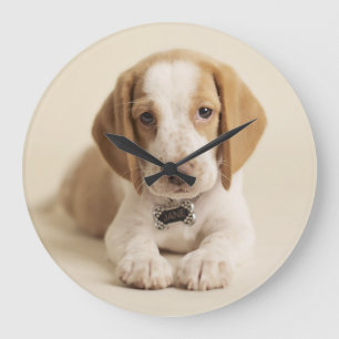 Reloj Redondo Grande Perrito del beagle