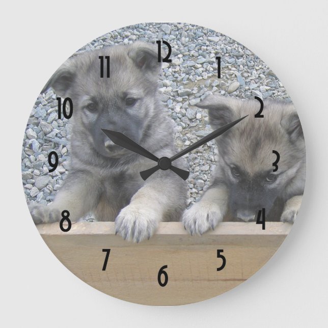 Reloj Redondo Grande Perritos de Elkhound del noruego (Anverso)