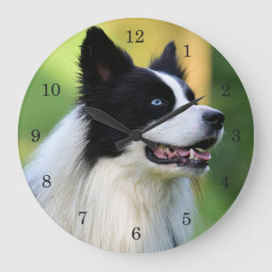 Reloj Redondo Grande Perro collie de borde blanco y negro