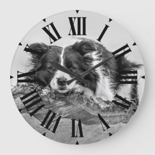 Reloj Redondo Grande Perro Hermoso Border Collie
