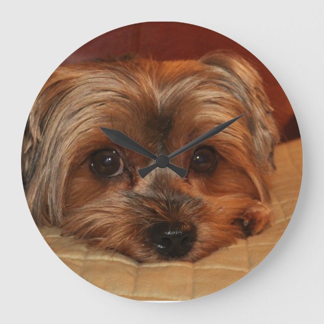 Reloj Redondo Grande Perro lindo de Yorkshire Terrier (Anverso)