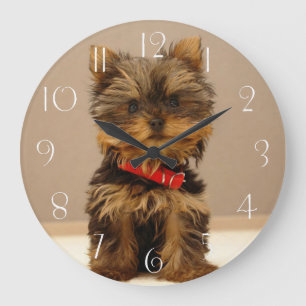 Reloj Redondo Grande Perro porcino de Yorkshire Terrier