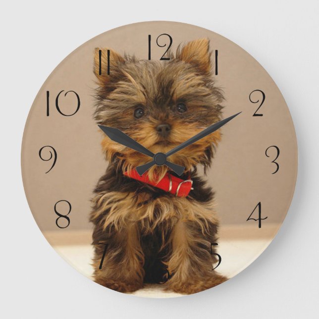 Reloj Redondo Grande Perro porcino de Yorkshire Terrier (Anverso)