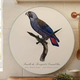 Reloj Redondo Grande Perroquet a un loro de Camail bleu / Dusky