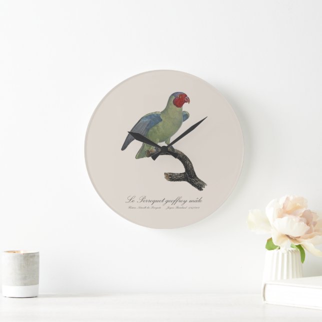 Reloj Redondo Grande Perroquet geoffroy macho / Loro con mejillas rojas (Hogar)