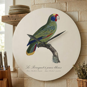 Reloj Redondo Grande Perroquet joues bleues / amazón de cola roja