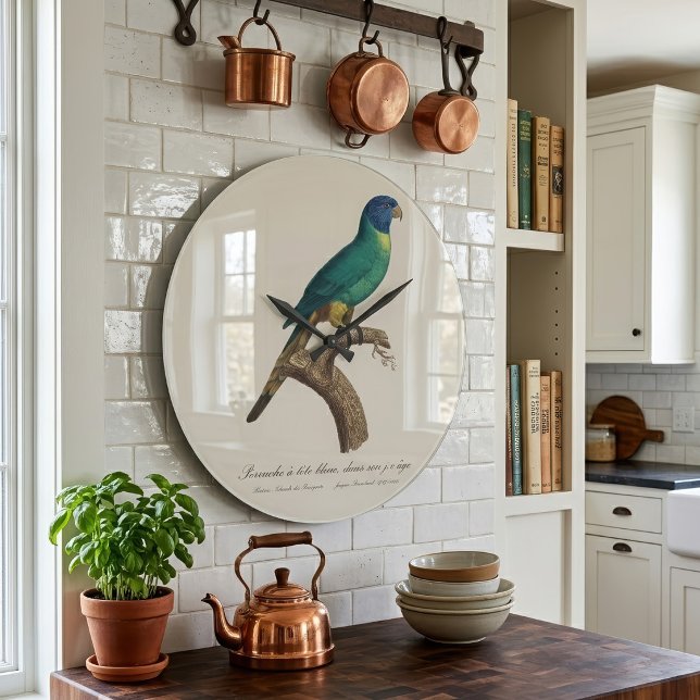 Reloj Redondo Grande Perruche a tete bleue / Lorikeet arcoiris, juvenil (Perruche a tete bleue / Rainbow lorikeet, juvenile. Large Clock)