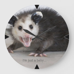 Reloj Redondo Grande personalizable de fotografía opossum divertido rel