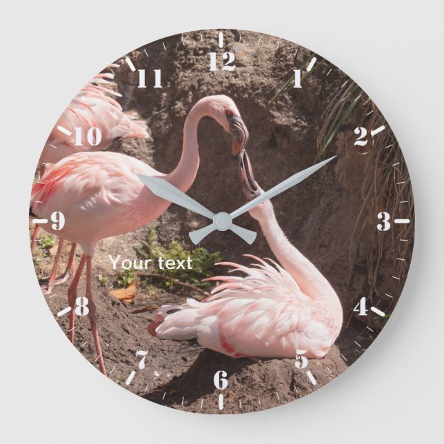 Reloj Redondo Grande Personalizar la fotografía de aves flamencas en am (Anverso)