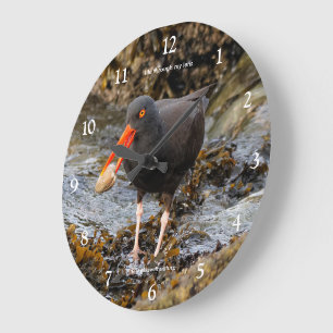 Reloj Redondo Grande Pesca de ave corta Oystercatcher negra en la playa