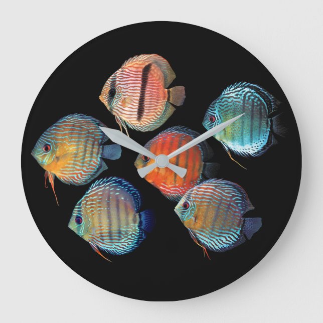 Reloj Redondo Grande Pescado de Discus Wild (Anverso)