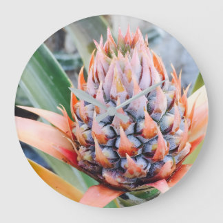 Reloj Redondo Grande Piña de Maui Hawái
