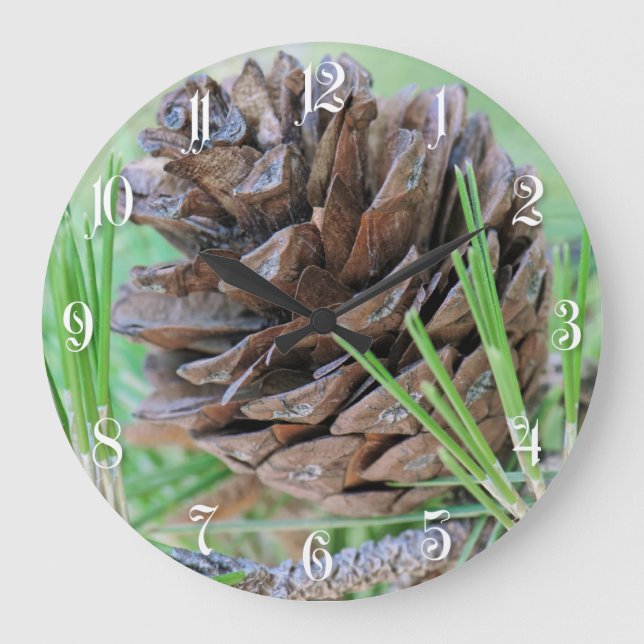 Reloj Redondo Grande Pinecona (Anverso)