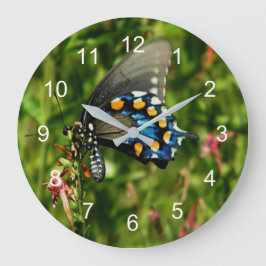 Reloj Redondo Grande Pipevine Swallowtail