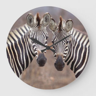 Reloj Redondo Grande Plain Zebras, Kruger National Park