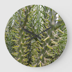 Reloj Redondo Grande Planta De Cactus Verdes Rápidamente,