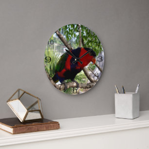 Reloj Redondo Grande Plumas arcoiris: Bonito Australian Lorikeet,