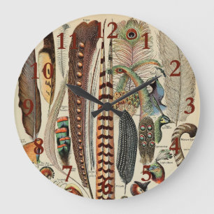 Reloj Redondo Grande Plumas de aves silvestres antigüedades