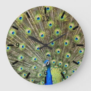 Reloj Redondo Grande Plumas de pavo real