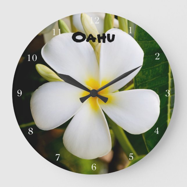 Reloj Redondo Grande Plumeria de Hawaii (Anverso)