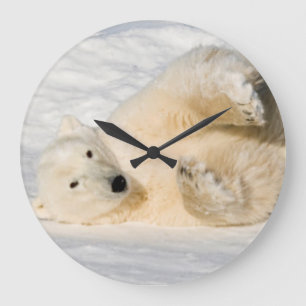 Reloj Redondo Grande Polar Bear near Hudson Bay