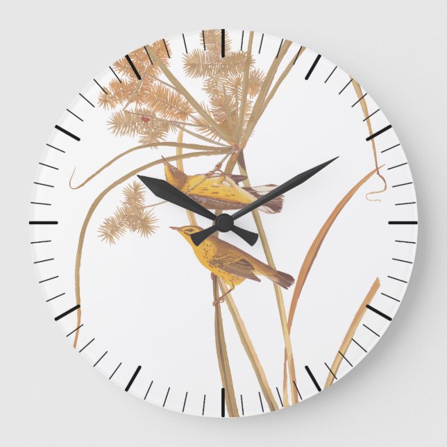 Reloj Redondo Grande Prairie Warbler Audubon Ave Amarilla (Anverso)
