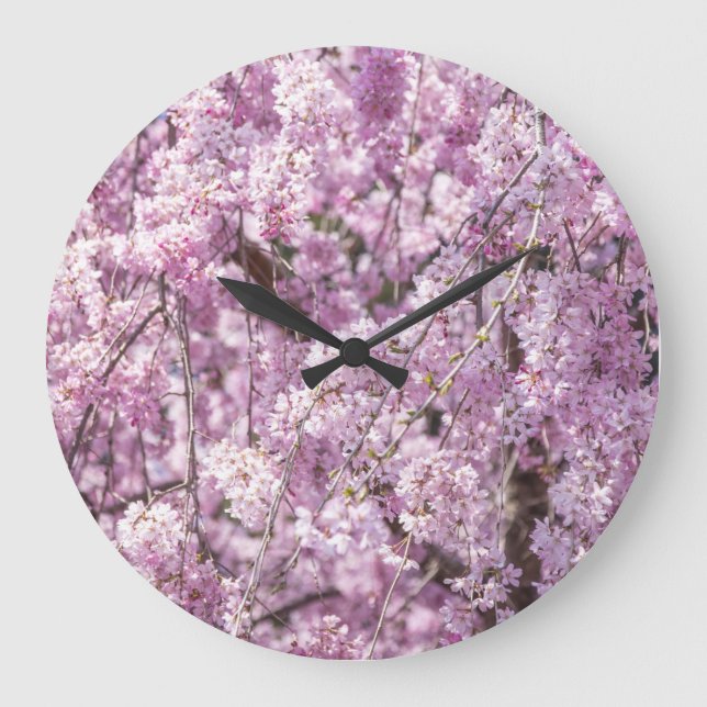 Reloj Redondo Grande Primavera de flores de cerezo (Anverso)